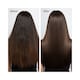 image 4 of Rosemary Hair Oil Co Argan Almond Bond Boost+ Hair Oil