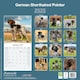 image 2 of German Shorthaired Pointer 2026 Calendar | Square Wall Calendar | Dog Breed Gift | Plastic Free Packaging | by Avonside Publishing