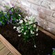 image 4 of Tom Chambers Urban Metal Green Herbaceous Garden Plant Support Arc 20cm x 60cm - Small
