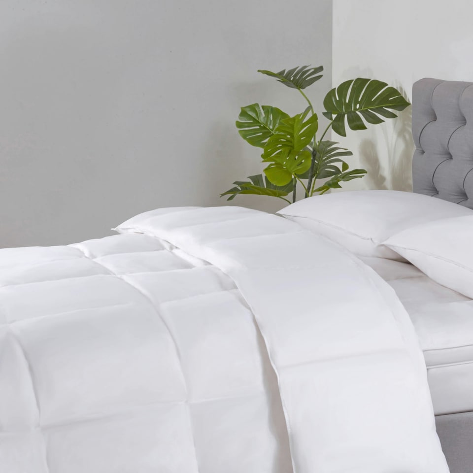 image 1 of BHS All Natural 10.5 Tog Duck Feather and Down Single Duvet, White