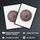image 2 of Sea Urchin Marine Life Illustration Albert I Huge Wall Art Poster Print 24X32"
