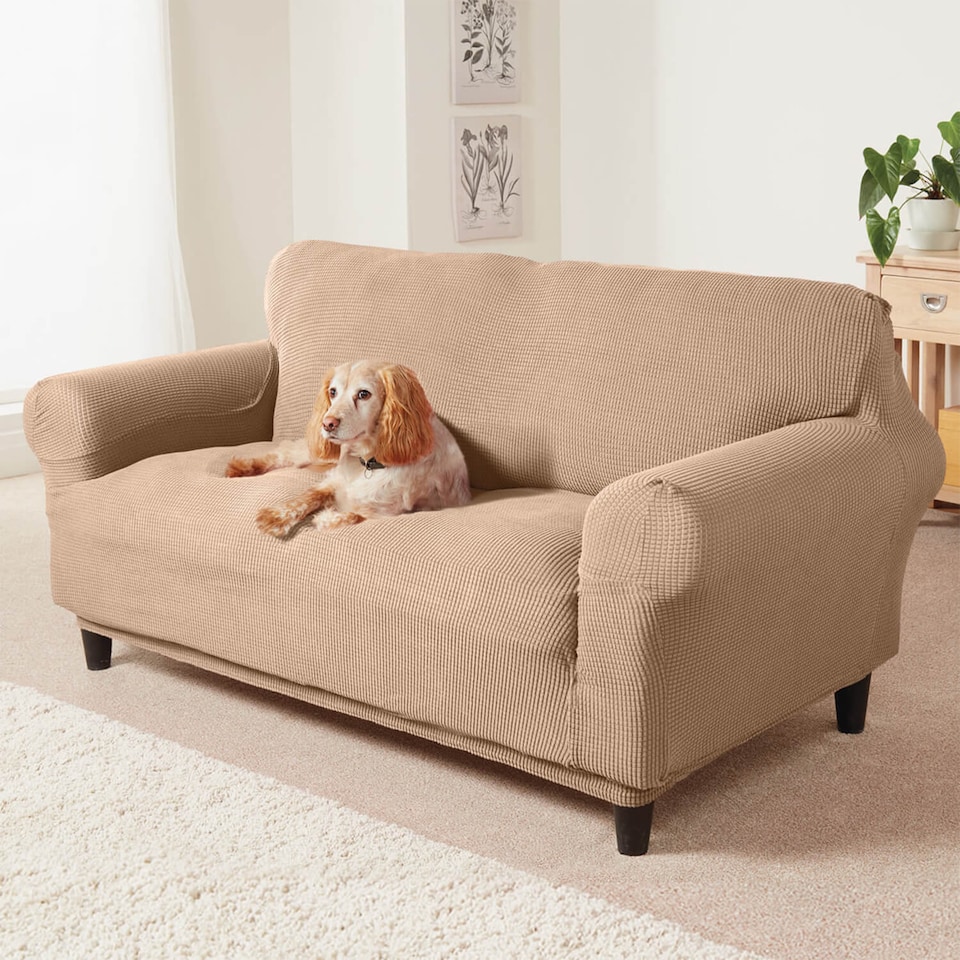 image 1 of Coopers Of Stortford 2 Seater Sofa Cover Stretch Fit Polyester Furniture Protector