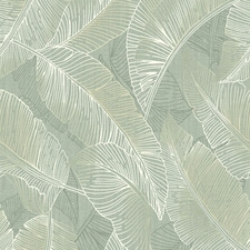 Belgravia Anaya Leaf Wallpaper - Green - 10m x 53cm Green