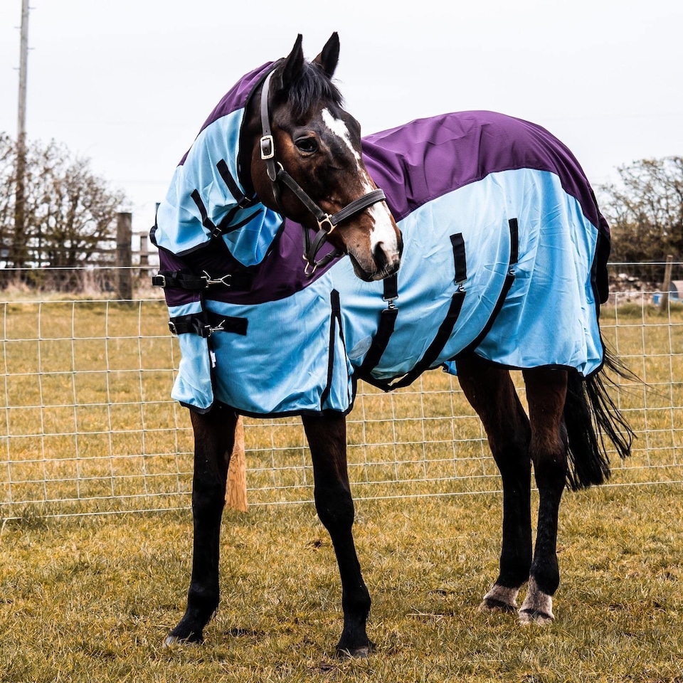 image 1 of eQuitack 600D 2 in 1 Waterproof Fly Turnout Mesh Horse Rug Fixed Neck Burgundy/Blue 6'9''