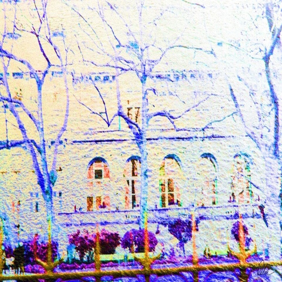 image 1 of Blue Trees (Canvas Print) 24" x 16"
