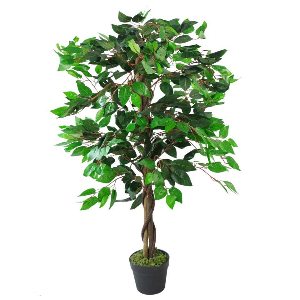 Artificial Ficus Tree Plant 110cm Twist Ficus Plants | Red | 3ft