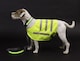 image 3 of Petface Reflective Dog Coat Lightweight Small