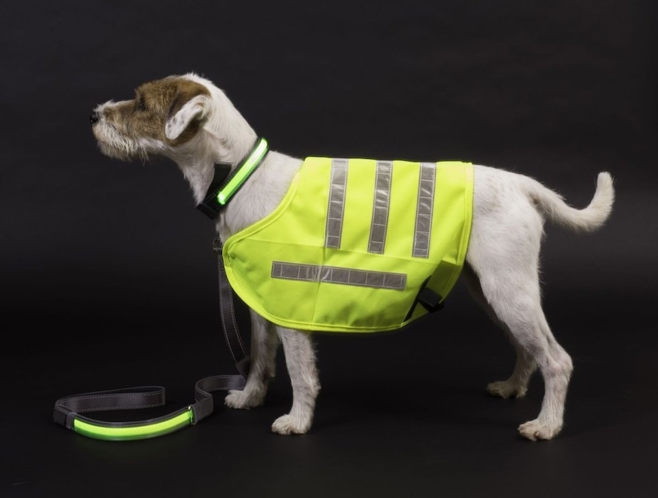 image 1 of Petface Reflective Dog Coat Lightweight Small