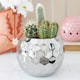 image 2 of Silver Disco Ball Plant Pot
