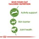 image 6 of Royal Canin Active Life Outdoor 2KG