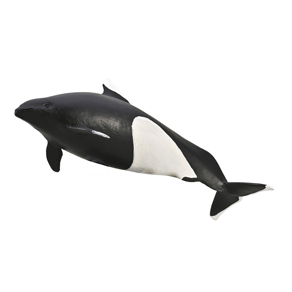 CollectA Dall's Porpoise in Black