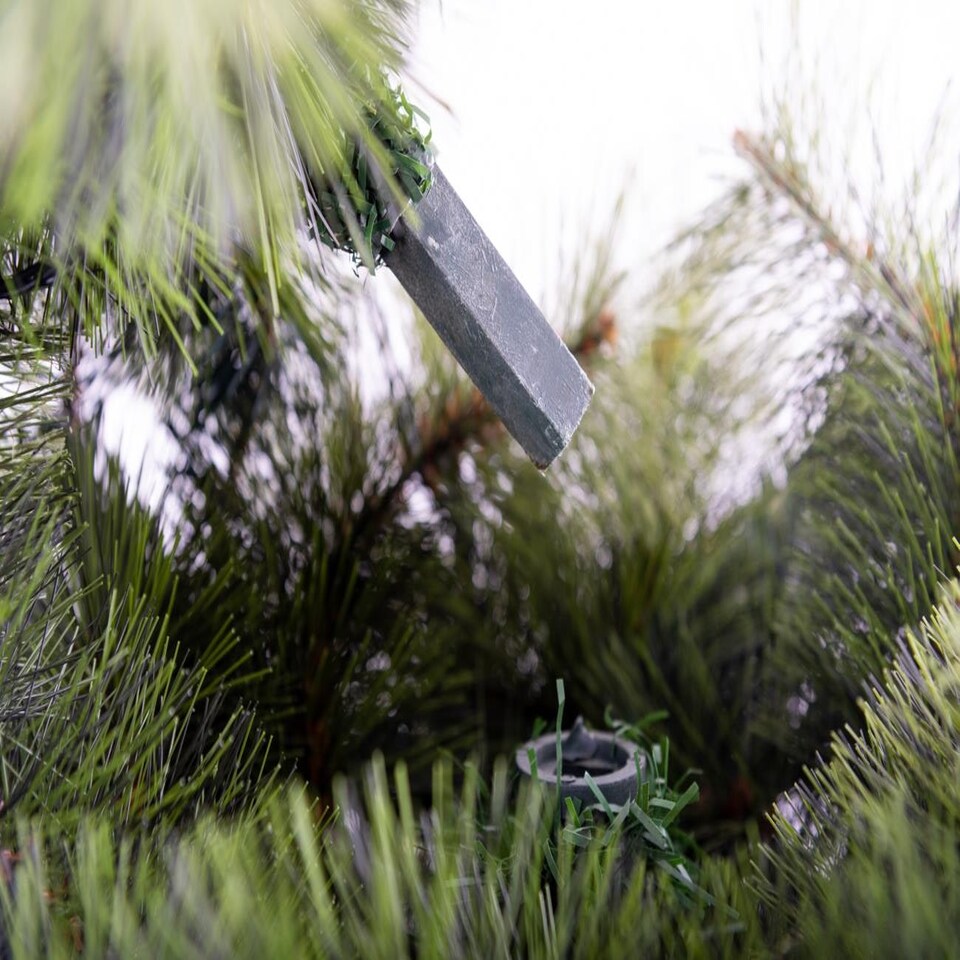 image 1 of 6Ft Kentucky Pine Plain Christmas Tree Green | 6ft