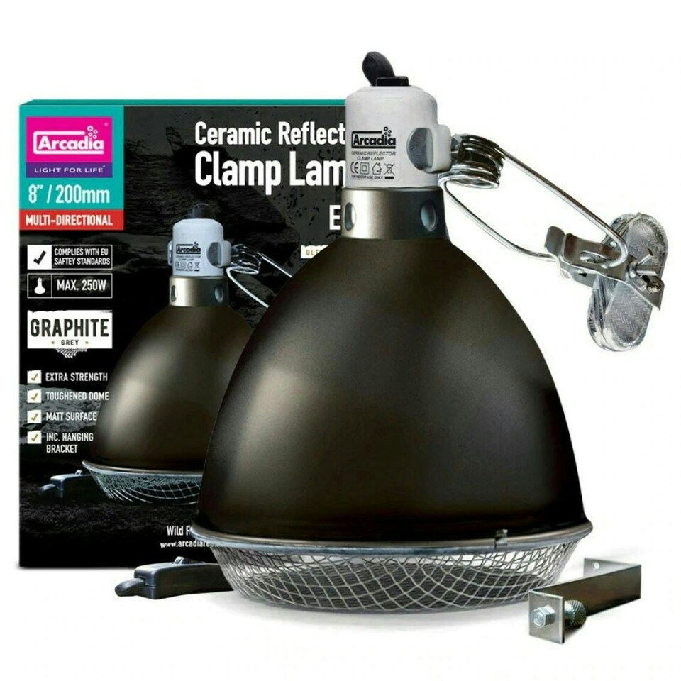 image 1 of Arcadia Clamp Lamps with Graphite Holder | Multi | 14cm