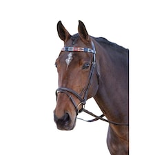 Blenheim Leather Polo Horse Browband - Turquoise/Red/Orange/Blue - Full