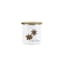 Star Anise