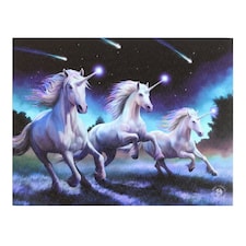 Anne Stokes Shooting Star Canvas Plaque - Multicoloured - 25cm x 19cm