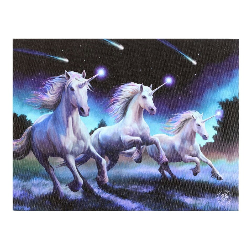Anne Stokes Shooting Star Canvas Plaque - Multicoloured - 25cm x 19cm