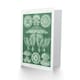 image 2 of Ernst Haeckel Art Card Discomedusae Jellyfish Species