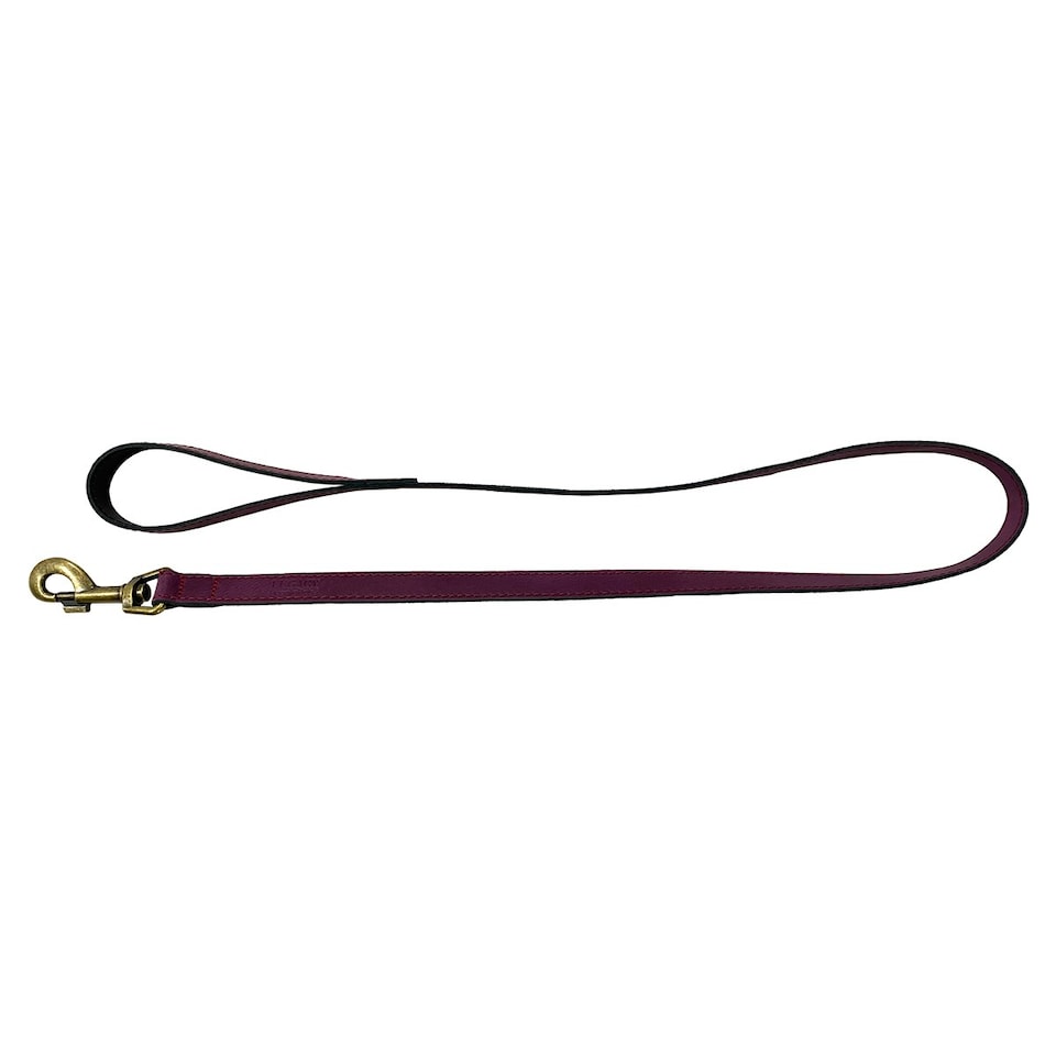 image 1 of HugglePets Legacy Leather Dog Lead | Pink | Merlot