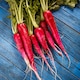 image 1 of Radish Long Scarlet Seeds Fast-Growing Carrot-Shaped Crunchy Punchy Flavor - Ideal for Salads & Snacking