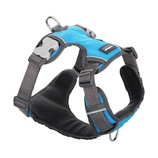 Dog Padded Harness Turquoise Blue | XS