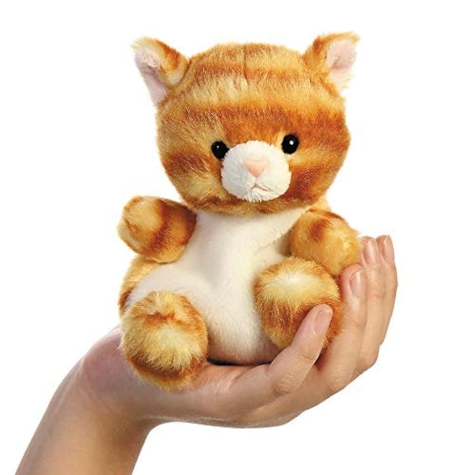image 1 of Palm Pals Meow Kitty 5in - ABGee - 541 33473
