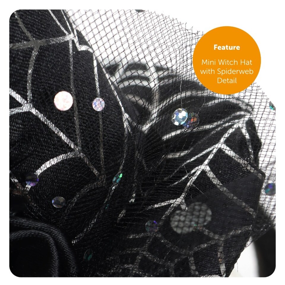 image 1 of Spider Witch Costume with Spider Prop | Black | L