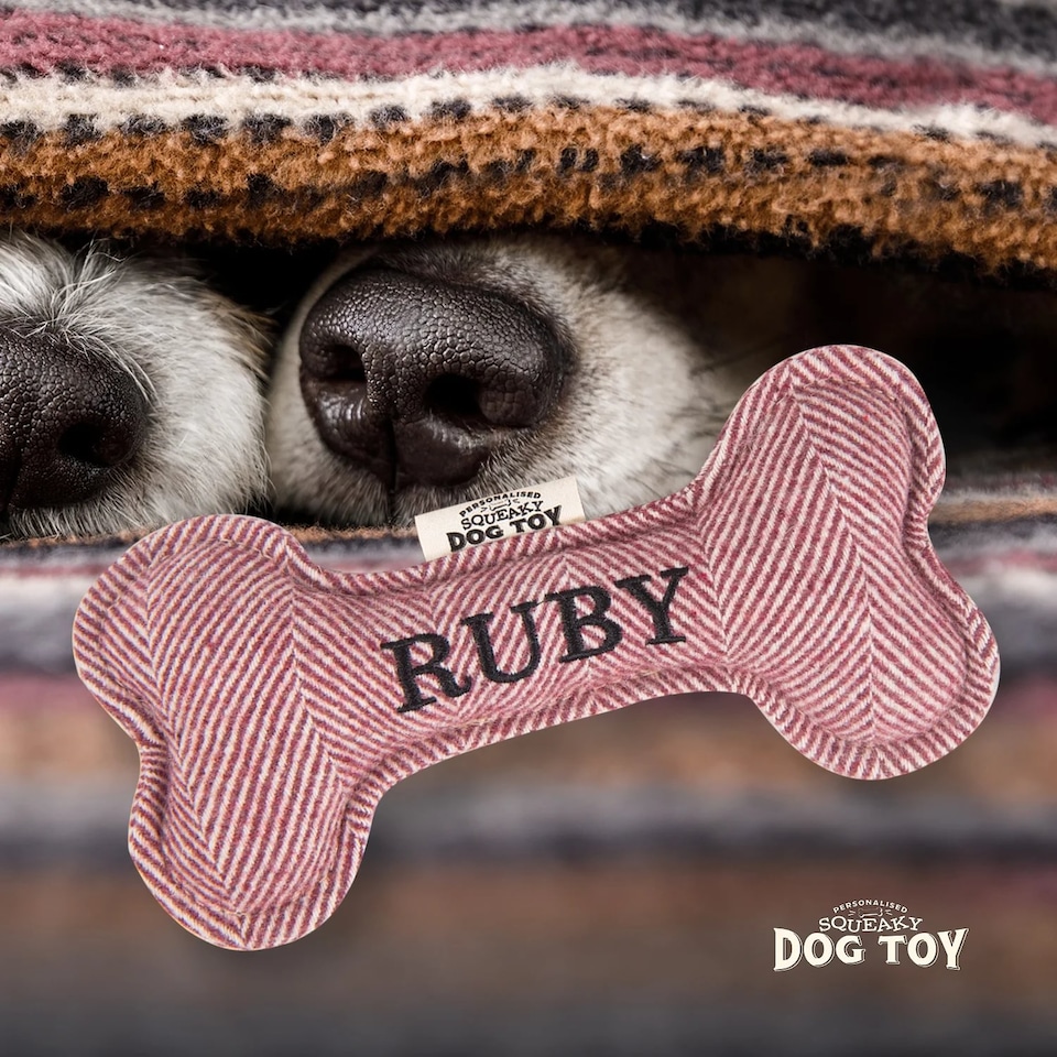 image 1 of History & Heraldry Pre-Personalised Squeaky Bone Dog Toy - Ruby