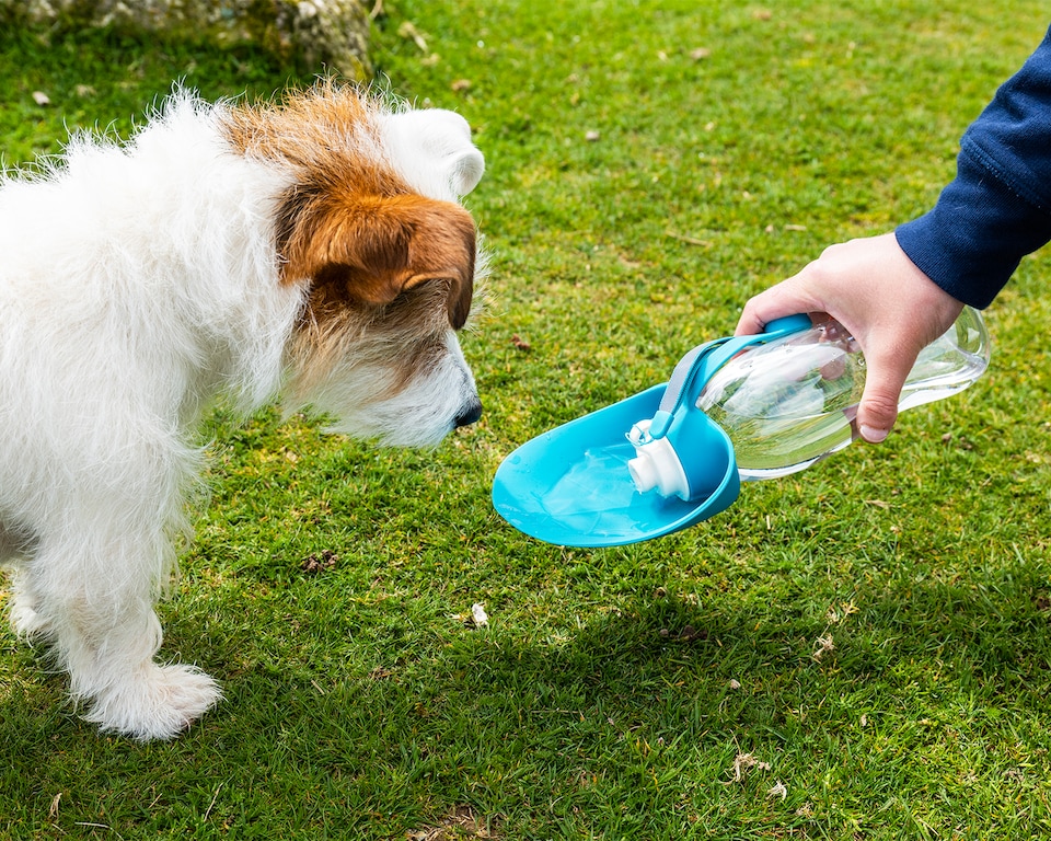 image 1 of Henry Wag Blue Pet Water Bottle & Noodle Glove Towel Combo