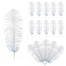 50cm - 60cm Large Ostrich Feathers, Showgirl Spadones - 10pcs