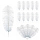 image 1 of 50cm - 60cm Large Ostrich Feathers, Showgirl Spadones - 10pcs