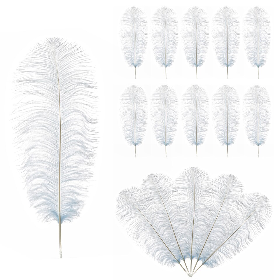 image 1 of 50cm - 60cm Large Ostrich Feathers, Showgirl Spadones - 10pcs