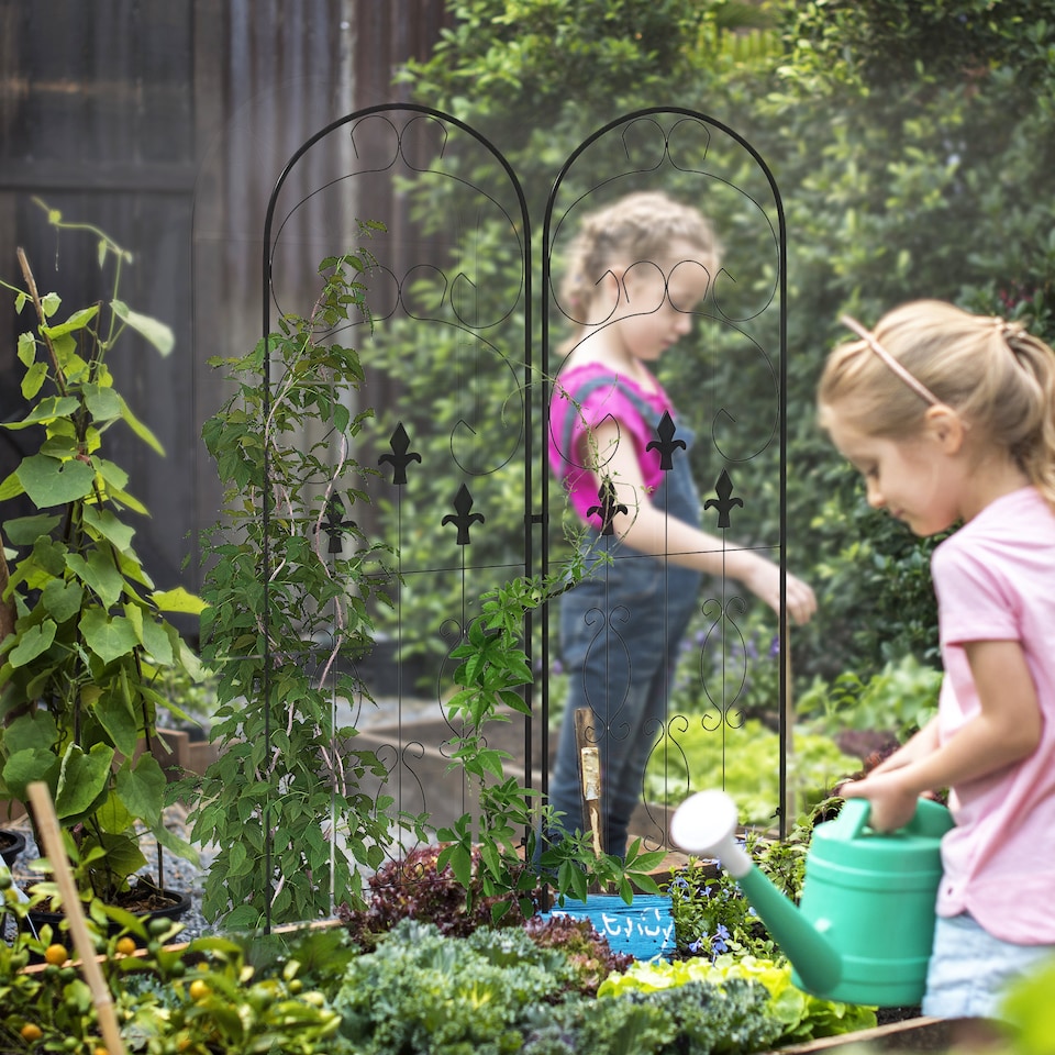 image 1 of Outsunny Set of 2 Metal Trellis for Climbing Plants, Scrolls Design, 45 x 150cm