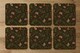 image 2 of Green Branches (Coaster)