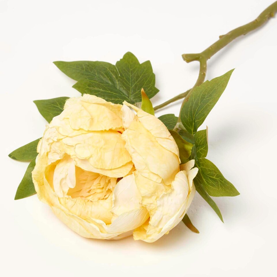 image 1 of Homescapes Artificial Stem of Dried Yellow Peony Flowers, 48 cm