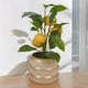 image 3 of Artificial Citrus Lemon Fruit Tree Flower Pot | Cream | Beige gloss | 1