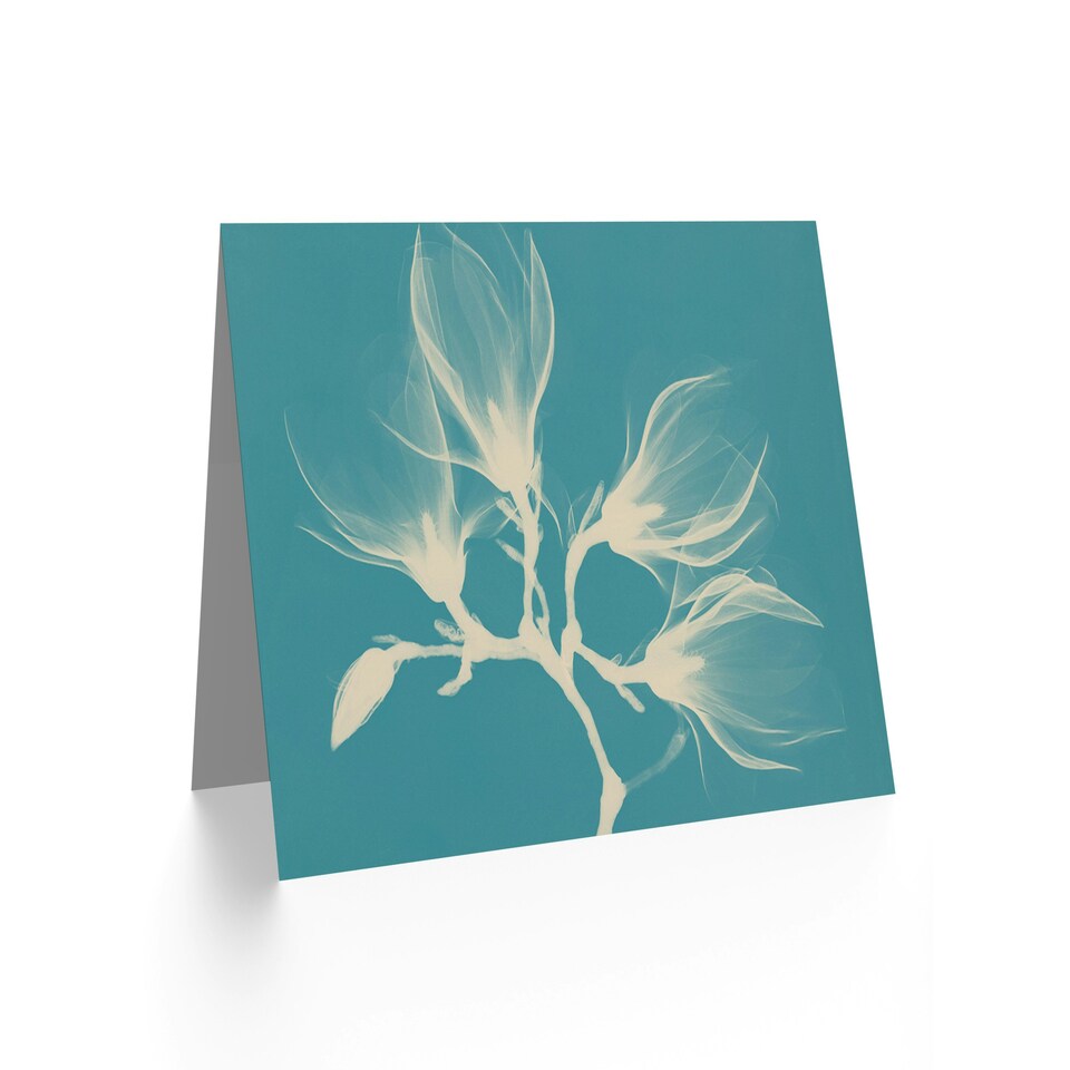image 1 of Magnolia Branch Xray Photo Teal Blue Floral Art Card