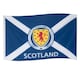 image 1 of Scottish FA Crest Flag | Blue | Blue | One Size | 1