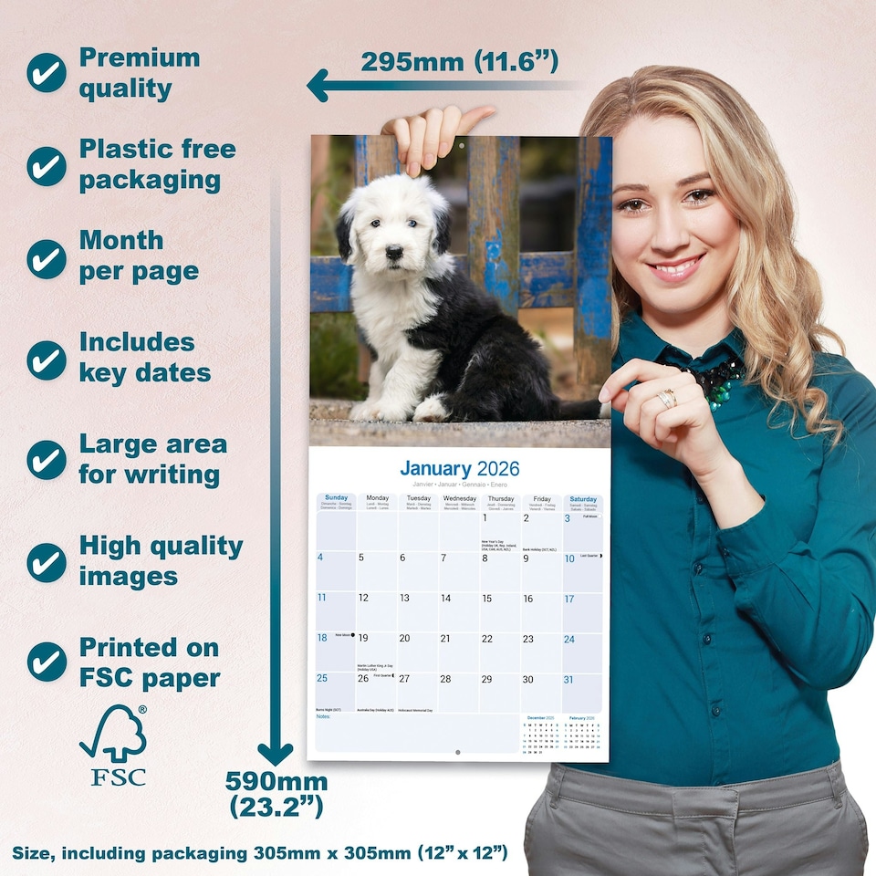 image 1 of Old English Sheepdog 2026 Calendar | Square Wall Calendar | Dog Breed Gift | Plastic Free Packaging | by Avonside Publishing