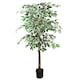 image 1 of Artificial Ficus Tree Realistic Extra Large 5ft Botanik | Green | 5ft