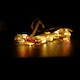 image 3 of Premier MicroBrights Lights 50 LED Red Vintage Gold 2.5m