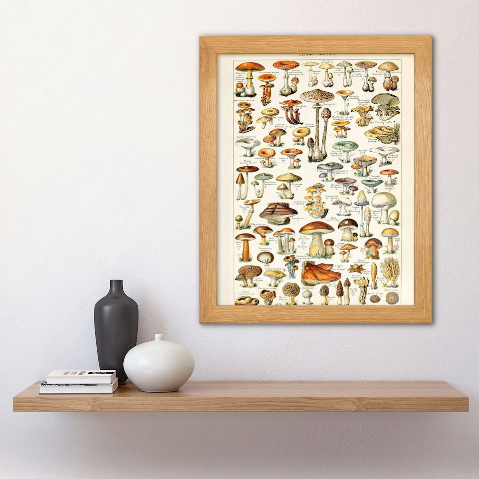 image 1 of Millot Encyclopedia Mushrooms Fungi Kitchen Wood Framed Wall Art Print
