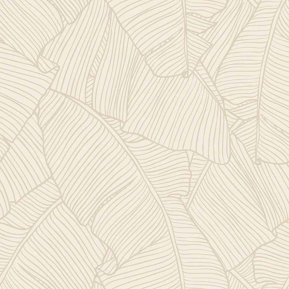Sample of Banana Leaf Wallpaper in Mushroom and Cream | Cream | Mushroom and Cream