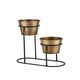 image 1 of 2in1 Gold Succulent Plant Pot