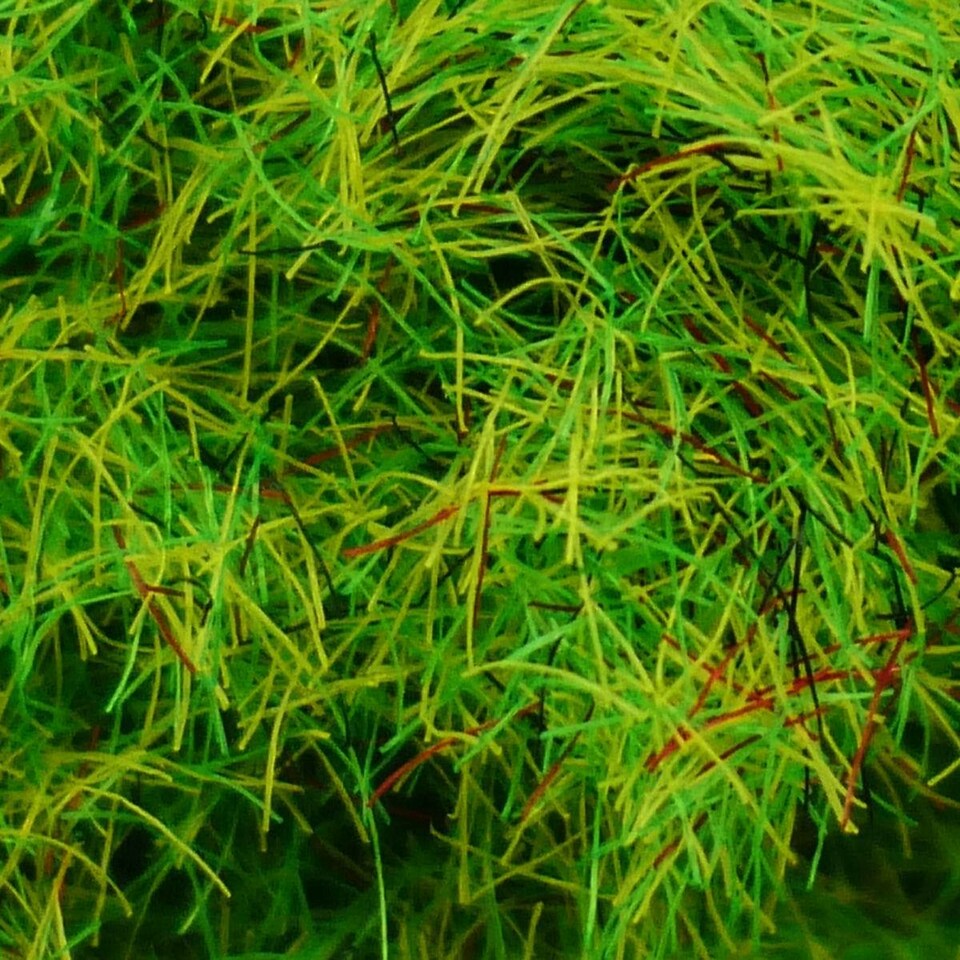 image 1 of Gaugemaster Scenics Spring Meadow 2.5mm Static Grass 30g (GM170)