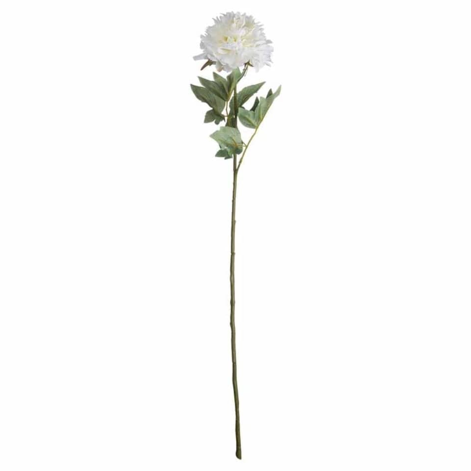 image 1 of Classic Peony Artificial Plant - Fabric/Plastic - L13 x W13 x H69 cm - White