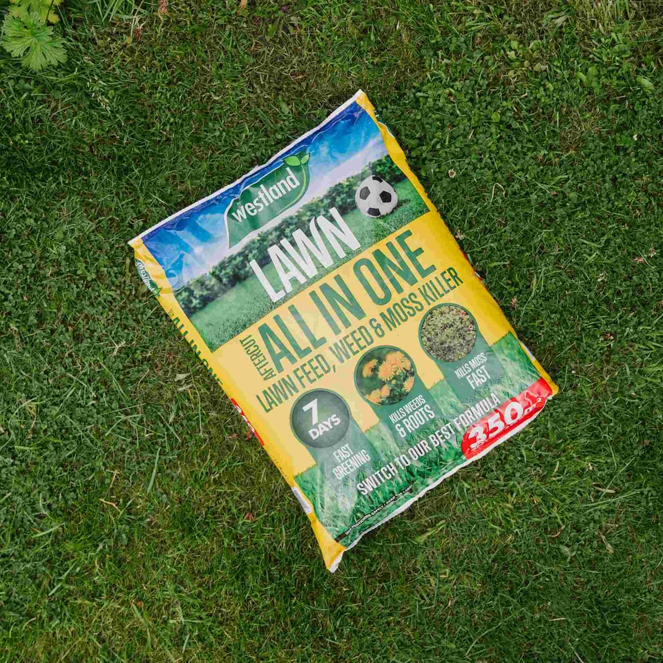 image 1 of Aftercut All-in-One Lawn Feed, Weed & Moss Killer 350sqm