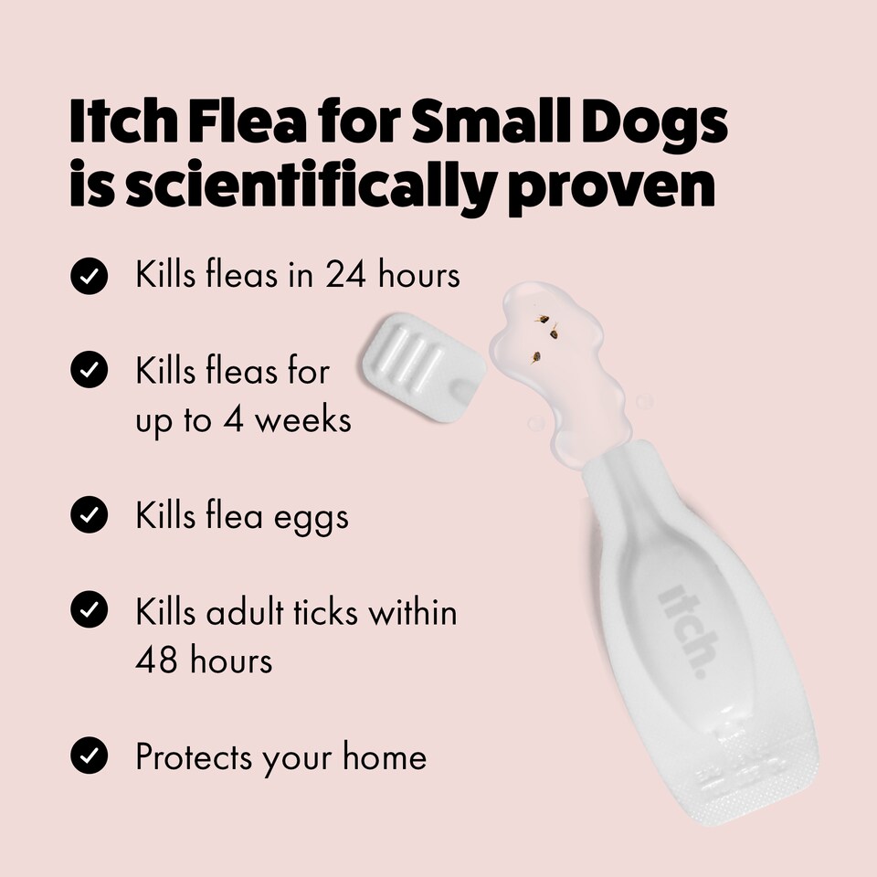 image 1 of Itch Flea Medium Dog Flea & Tick Spot On Treatment 2 Pipette (10-20kg) | Blue | 2 Pack