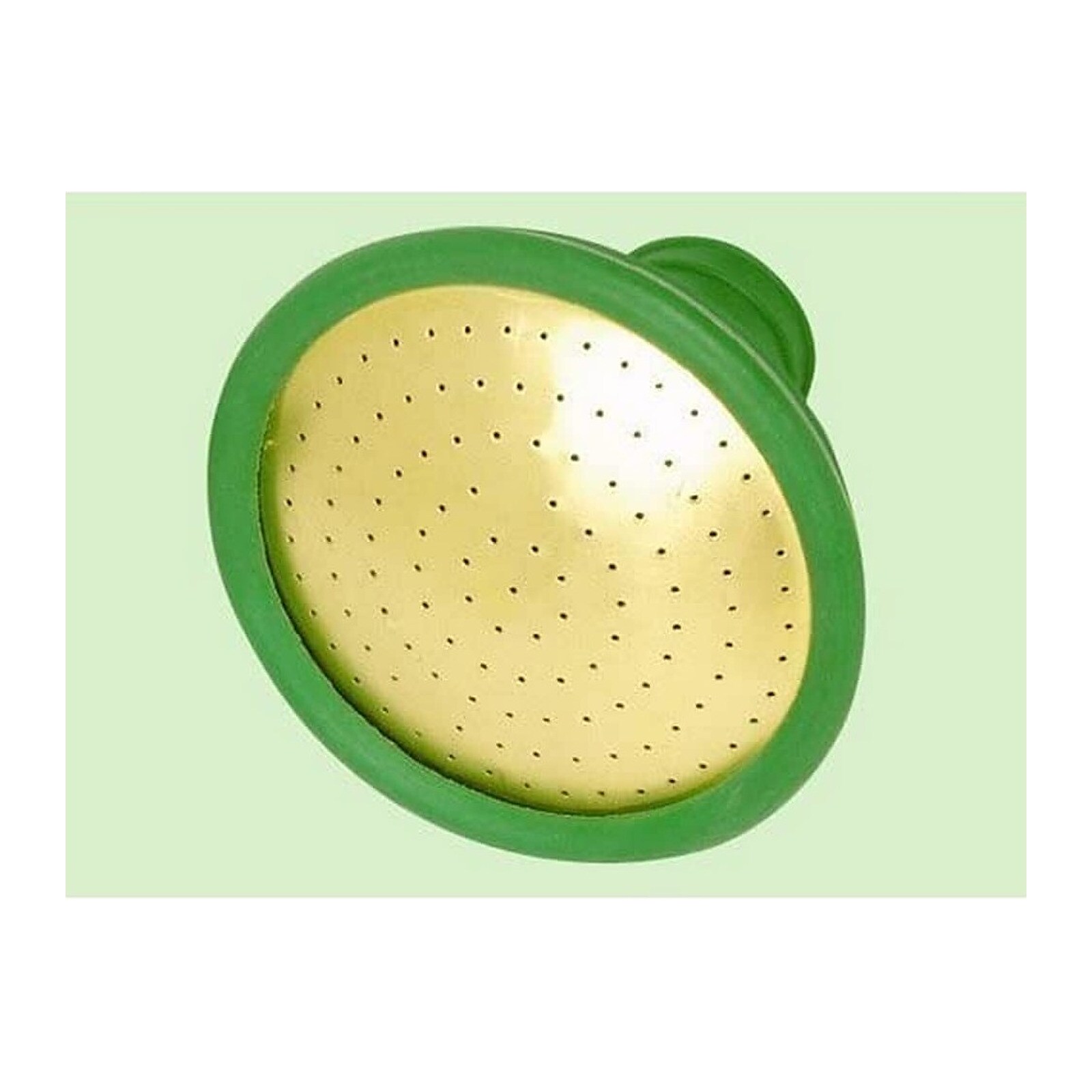 Fine as Rain Watering Can Rose - Universal Fit - Green