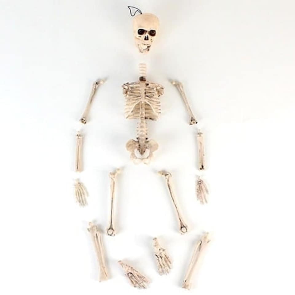 image 1 of Halloween Prop Movable Skeleton Hanging Decoration 50cm